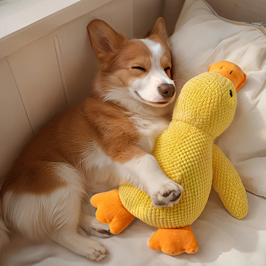 Plush Squeaky Duck Dog Toy - Durable & Soft Chew Toy for Medium to Small Breeds with Interactive Sound Effects for Fun Play & Training